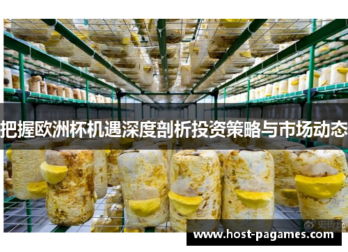 把握欧洲杯机遇深度剖析投资策略与市场动态