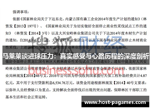 马莱莱谈进球压力：真实感受与心路历程的深度剖析