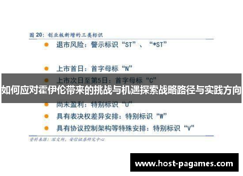 如何应对霍伊伦带来的挑战与机遇探索战略路径与实践方向